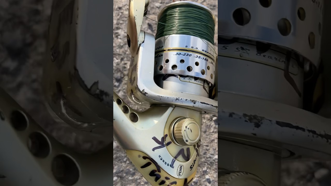 HUMPING in the SURF FISHING Gear 