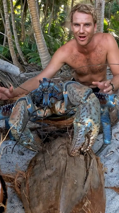 GIANT CRABS rule this Island