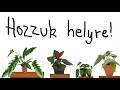 Szobanövények átültetése, avagy mégegy hosszú csetelős videó  #cebublue  #philodendron  #syngonium