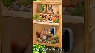 Large Outdoor Squirrel Box with Camera & Feeder 2-in-1