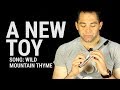 Tin Whistle Lesson - Wild Mountain Thyme