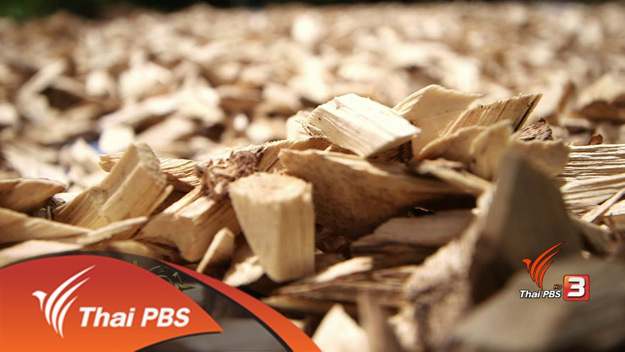 อาชีพทั่วไทย : น้ำมันหอมระเหยไม้กฤษณา (30 มิ.ย. 60)