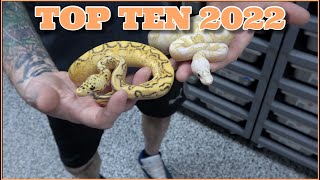 Mutation Creation's Top 10 Ball Pythons Of 2022 Net Worth
