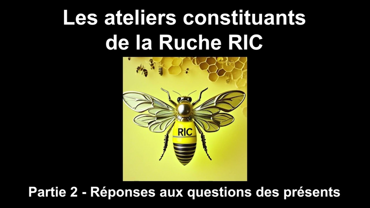 Ruche RIC | Partie 2 - Réponses aux questions des présents