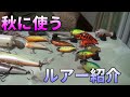 秋に使うオススメルアー紹介　Bass fishing in Japan