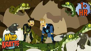 Crocodile Egg Hatch | Creature Facts | Wild Kratts