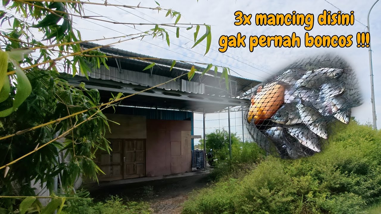 Mancing disini masih potensial dan ikannya besar besar !!!