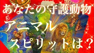 【動物占い】あなたのアニマルスピリット守護動物は？オラクルカードで診断