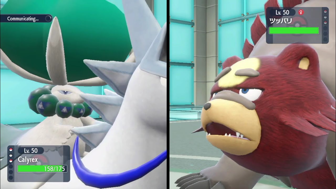 Single Battle Ice Rider Calyrex Sweep In Paldea Power Unleashed!!