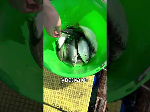 На такой ферме должен побывать каждый!😋