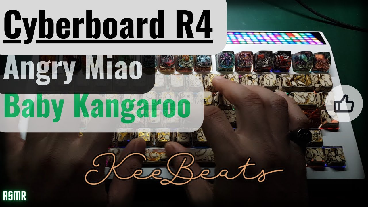 Cyberboard R4 | Gateron Baby Kangaroo | KeeBeats