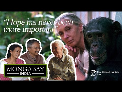 Jane Goodall meets Mongabay India