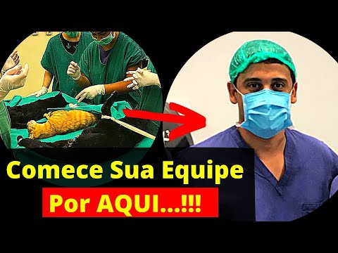 Vídeo: Conheça sua equipe veterinária