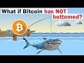 Bitcoin Hit $9,500, Bull Run Hype, Infinite Money, 50% Of Ethereum, XRP Remittance & EOS + Bitcoin