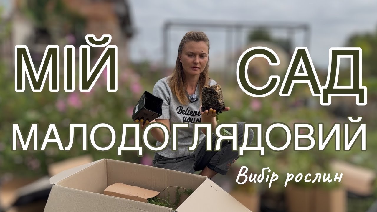 Мій сад 🪏 аналіз рослин #реаліїсадівництва #garden #мійсад #природнійквітник