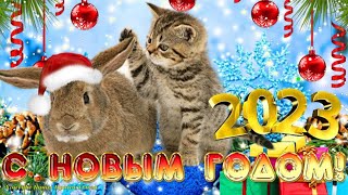 С Новым 2023 Годом🐇🎄Встречаем Год Кролика (Кота)! Супер Поздравление С Годом Кролика🐰