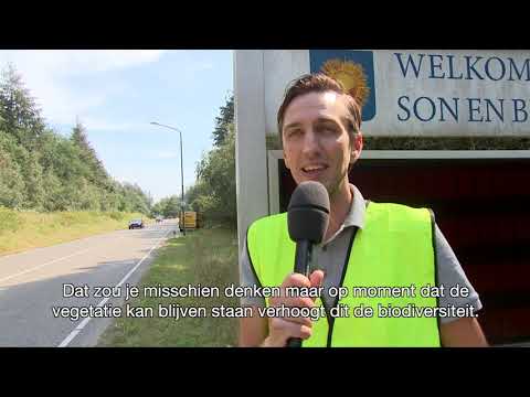 Video: Wat is de berm van de weg?