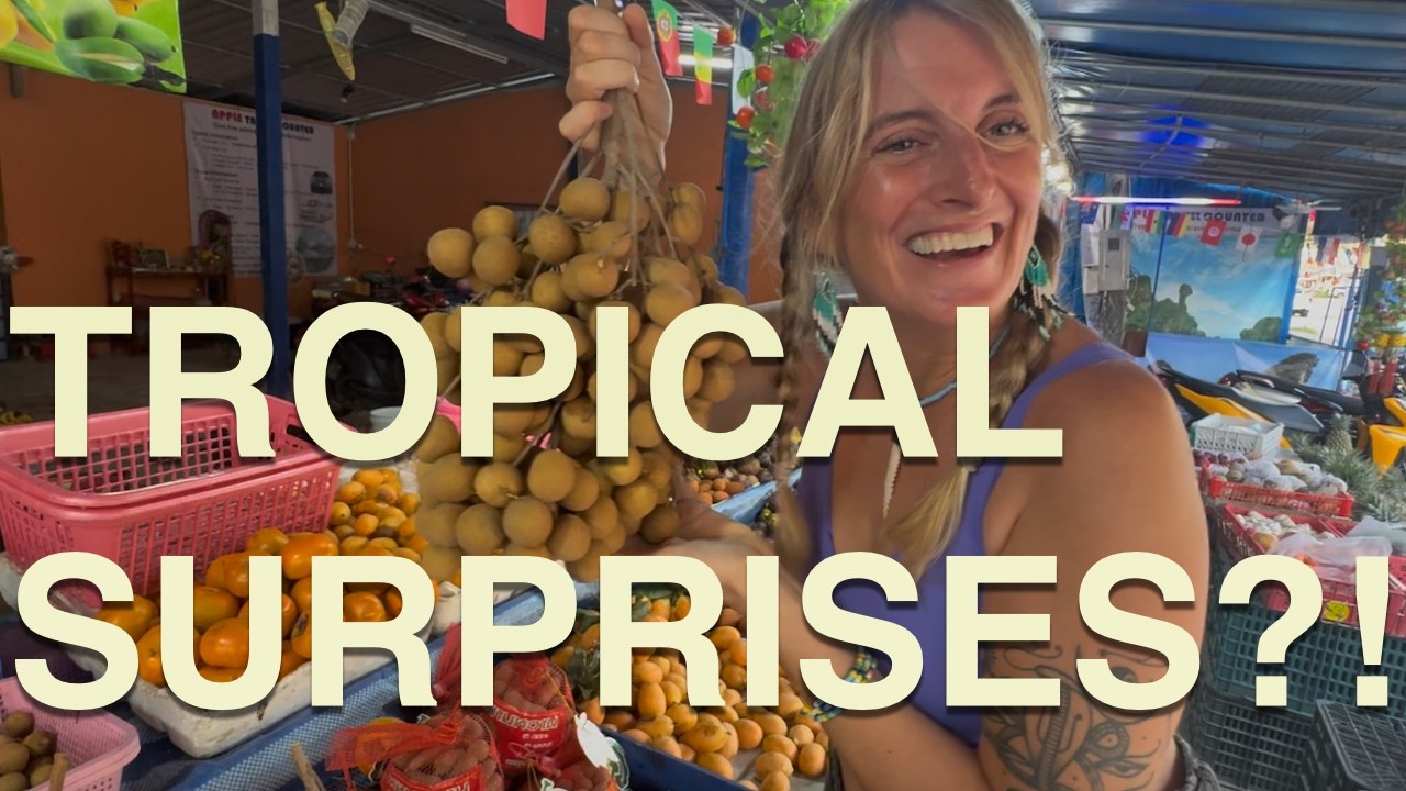 The Slow Burn | Episode 1 | Building wooden bungalows in Thailand