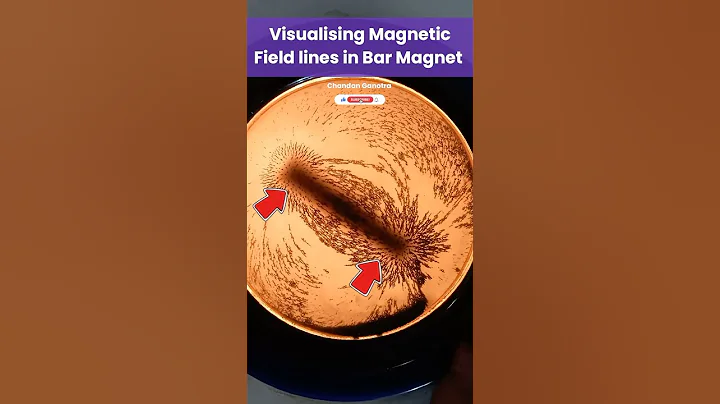Visualising Magnetic Field Lines 🧭 Bar Magnet | Learning by Doing 🤩 #diy #experiment #fun #ytshorts