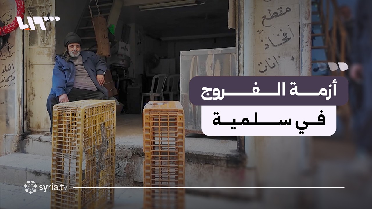 انقطاع الفروج من أسواق سلمية بريف حماة بعد رفع سعر الكيلو إلى 220 ليرة سورية