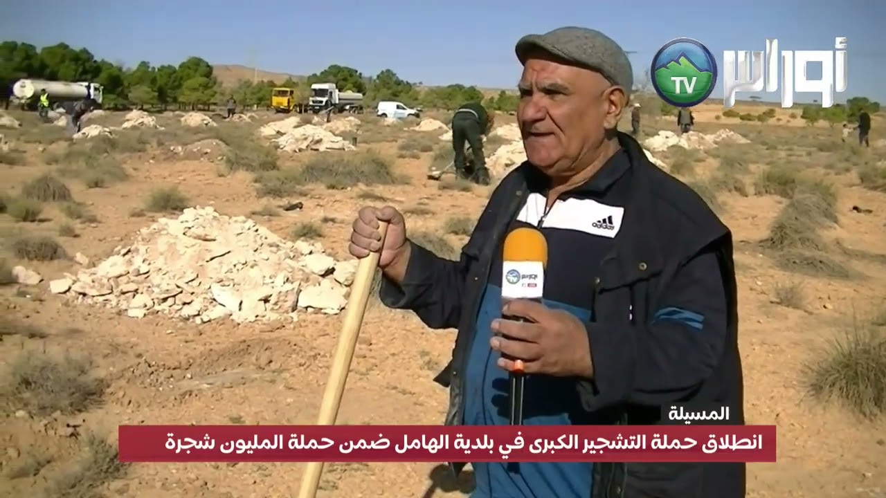 #المسيلة_بوسعادة_الهامل  | حملة التشجير الكبرى تتواصل في بلدية الهامل