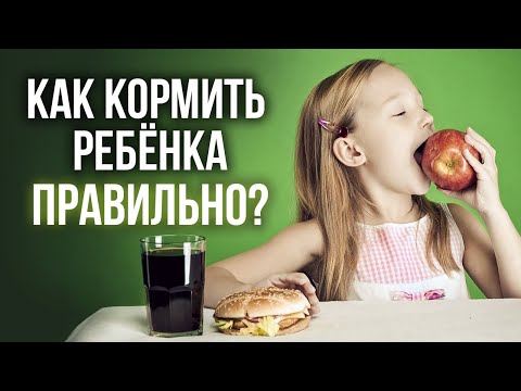 Правильное питание ребёнка – залог здоровья! / Памятка для родителей