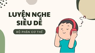 Luyện nghe siêu dễ theo chủ đề - bộ phận cơ thể