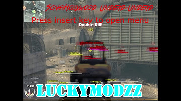 MW2 Aimbot,Wallhack,Vac bypass