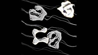 gene.sys (제네시스) | LOGO MOTION