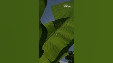 سورة لقمان  اسلام صبحي