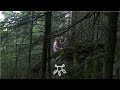 Aš pasėjau apynėlį - Sutartinė played on treeharp