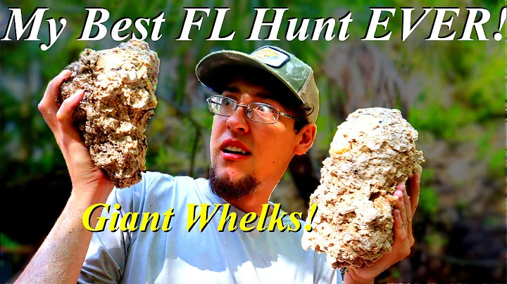 By Far Our BEST Fossil Hunt In Florida! Digging for Unbelievable Crystal Filled Whelks and Clams!