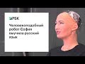 Робот София заговорила по-русски