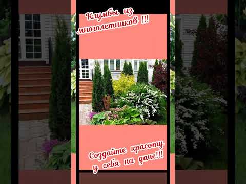 клумбы из многолетников!!!