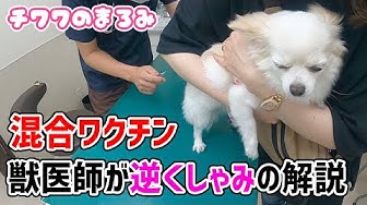 逆くしゃみ Youtube