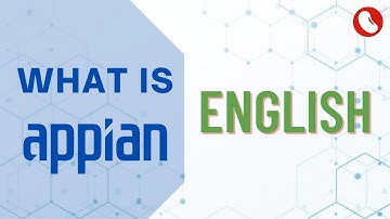 What is Appian | Low Code Lab