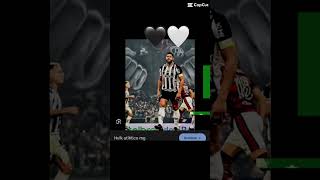 atlético mineiro galo
