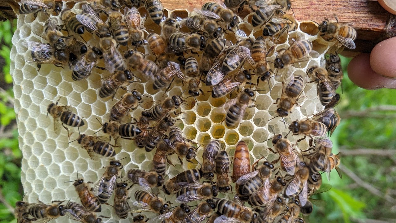 Geduld, Junge! Alles braucht seine Zeit.