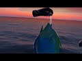 Real VR Fishing - Bluespine Unicornfish