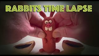 RABBITS STOP MOTION - TIME LAPSE #animation #waaber
