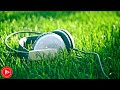 Relaxing Music Sleep 24/7, Sleep Music, Sleeping Music, Calm Music - Best For You | DM Music