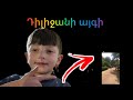 Դիլիջանի այգի