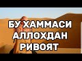 ХАММАСИ АЛЛОХДАН РИВОЯТ (Одилжон Бухорий)