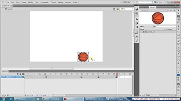 Intro to Adobe Flash Player