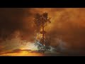 Elea & Bahramji - Dancing Blossoms (Sidereal Remix) - - - [[Full Visual Trippy Video]]