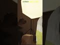 Jeeba - Album Bi ( Afrombalakh series) • Bientôt