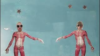 THE HOJOS - Tippi Time