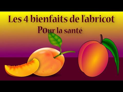 Vidéo: Abricot - Les Avantages Et Les Inconvénients De L'abricot, Des Graines, Des Recettes De Santé