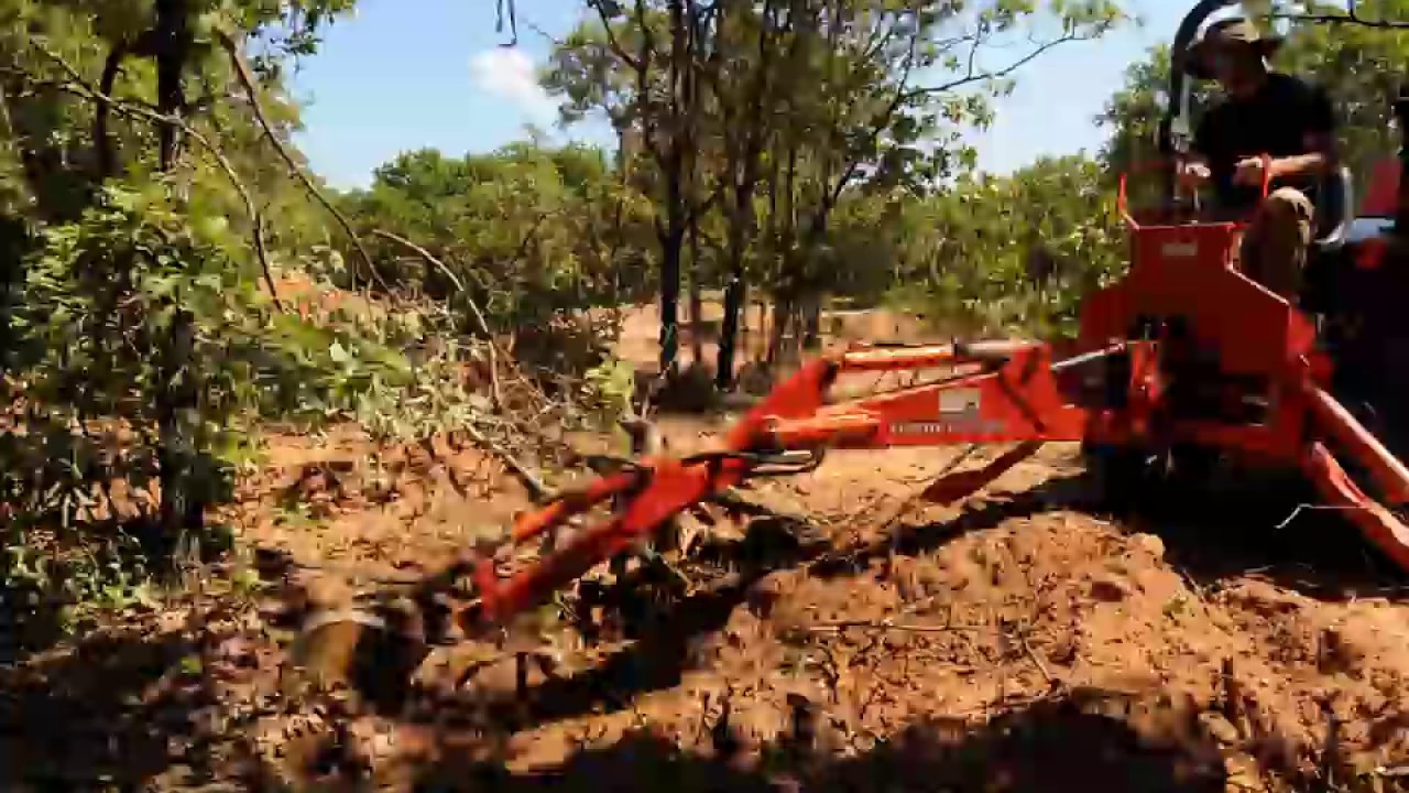 Kubota B7800 Tractor and BL4690 Backhoe digging trees