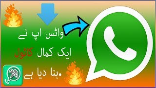 Whatsapp tools app download in urdu||And full revews in urdu || Whatsapp tricks||2019 screenshot 5